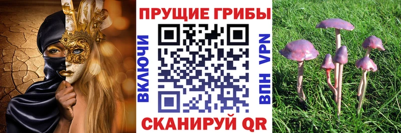 Галлюциногенные грибы MAGIC MUSHROOMS  Артёмовский 